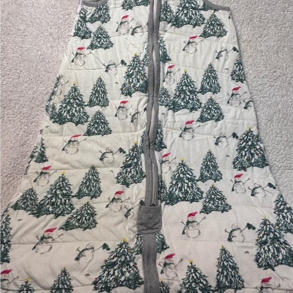 Burt's Bees Baby White and Gray Beekeeper Bodysuit (XL)